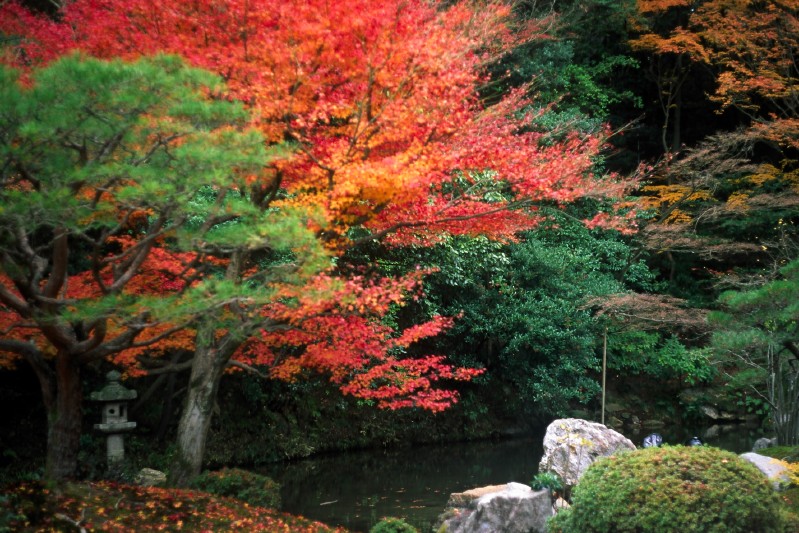 Nanzenji Temple