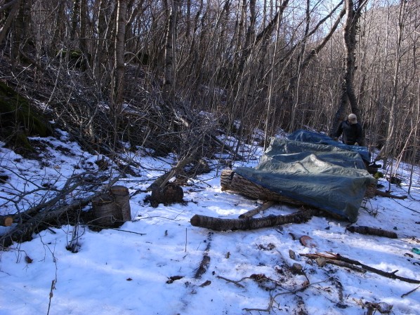 All done and covered with a tarp
